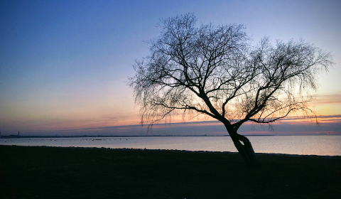 NBA马刺vs火箭直播视频:巅峰对决,精彩不容错过! NBA马刺vs火箭直播视频:巅峰对决,精彩不容错过!